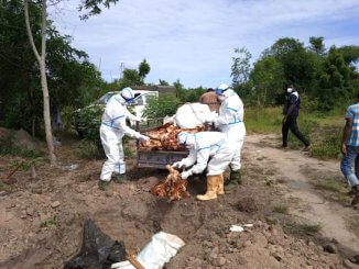 Foyer de grippe aviaire dans le canton de Djagblé au TOGO