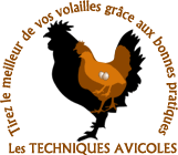 Les Techniques pour l'élevage des volailles - Aviculture
